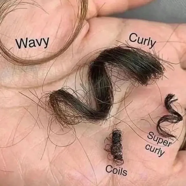 Photo of hand holding hairs of different types