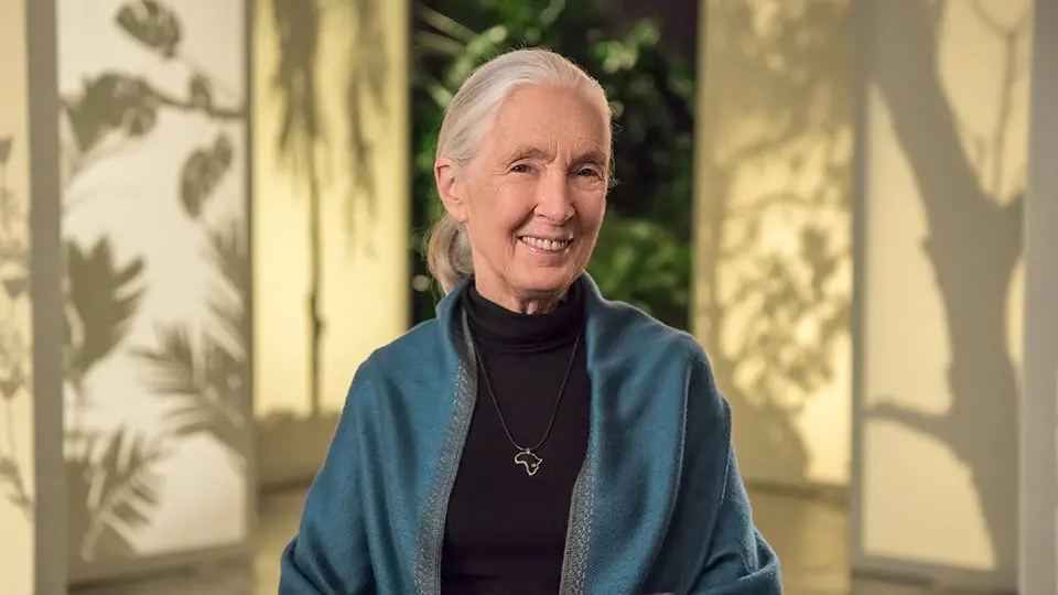 Dr. Jane Goodall