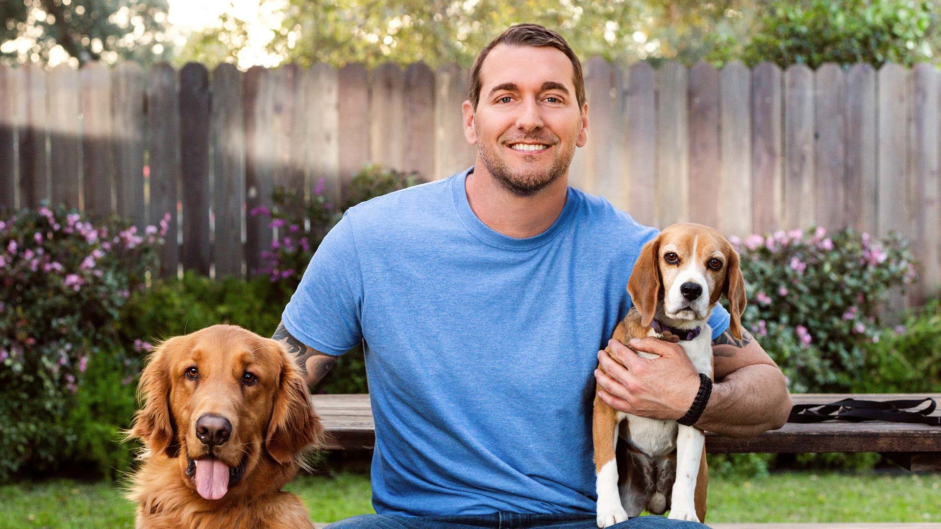 brandon mcmillan dog training videos