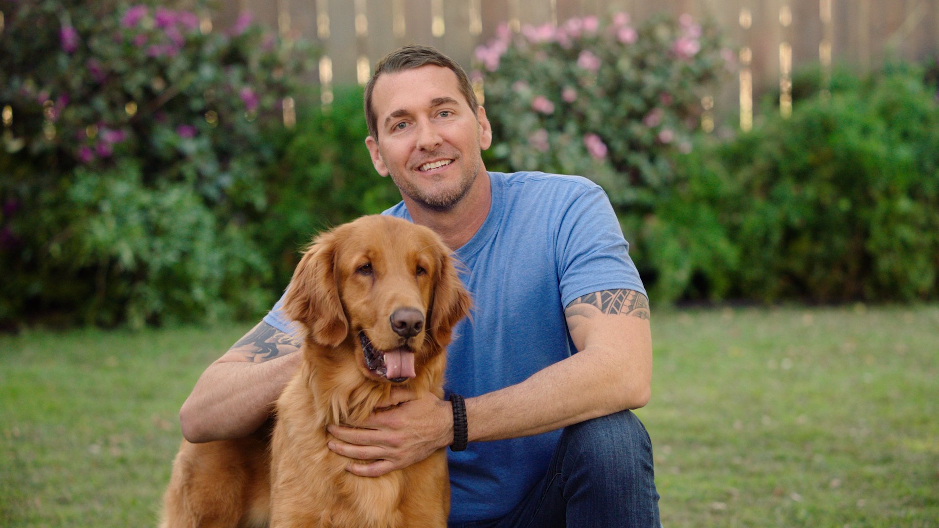 Brandon mcmillan hot sale dog