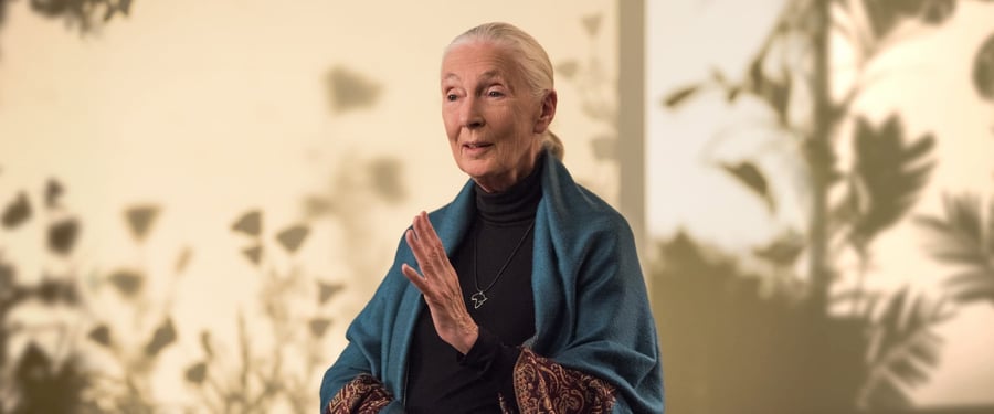 Dr Jane Goodall Teaches Conservation Masterclass