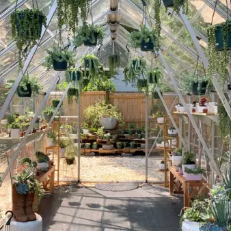 An outdoor greenhouse with various hanging plants and succulents.